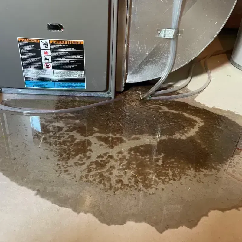 Appliance Leak Cleanup in Cottleville, MO